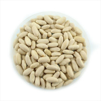 Семена фасоли «Голдэн Типпи»