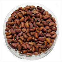 Cowpea seeds «Macarena»