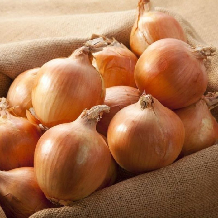 Onion seeds «Stryhunivskyy»