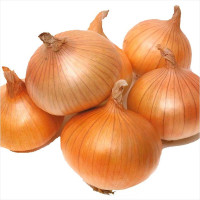 Onion seeds «Tkachenkovskyi»