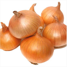 Onion seeds «Tkachenkovskyi»