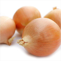 Семена лука «Дорато ди парма»