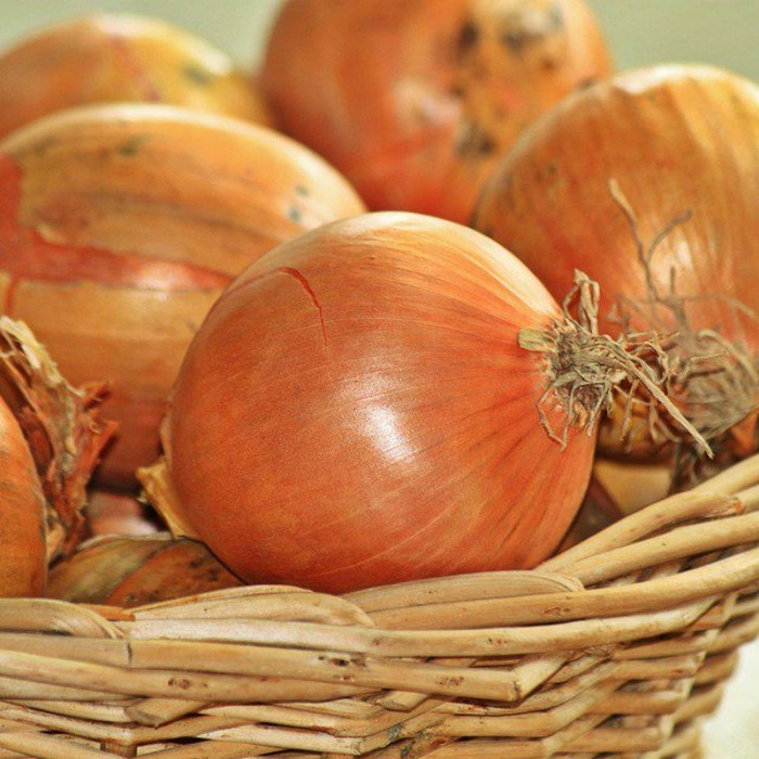 Onion seeds «Galician»