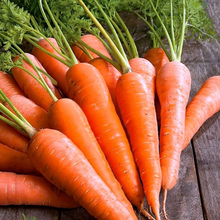 Насіння моркви «Долянка»