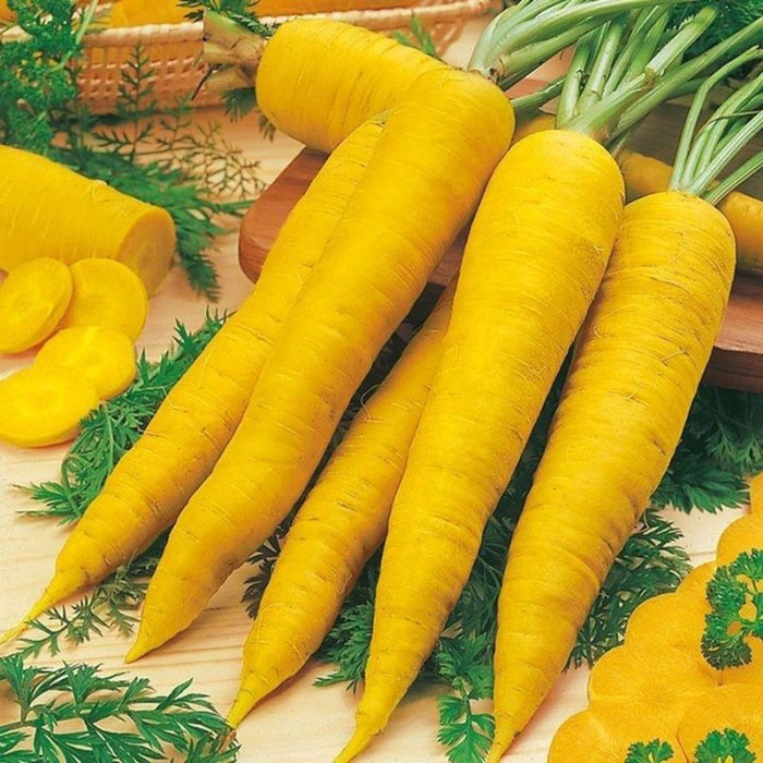 Carrot seeds «Loberisher»