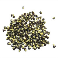 Семена кукурузы миниатюрной голубой