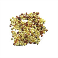 Corn seeds «Miniature color»