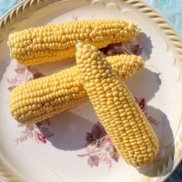 Семена кукурузы «Джульетта» F1