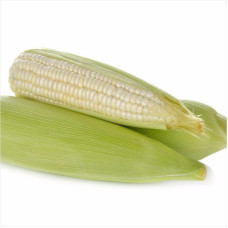 Corn seeds «White Queen»