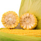 Corn seeds «Ayova» F1