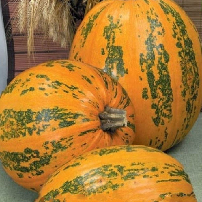 Pumpkin seeds «Ukrainian multi-fruited»