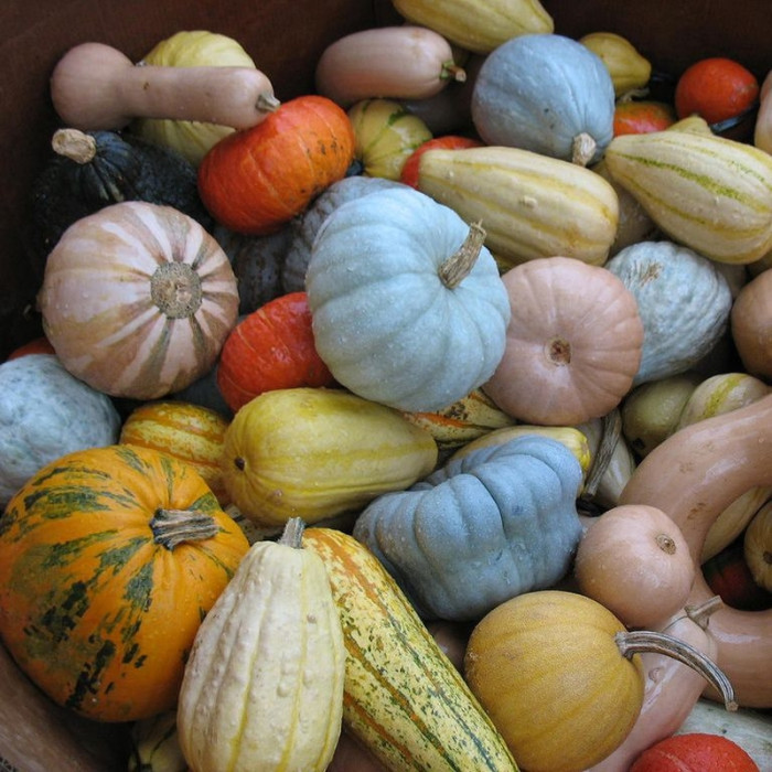 Pumpkin seeds «Assorted»