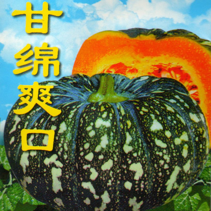 Pumpkin seeds «Dawn of the East»