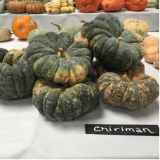 Pumpkin seeds «Chiriman»
