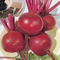 Beet seeds «Cadet»