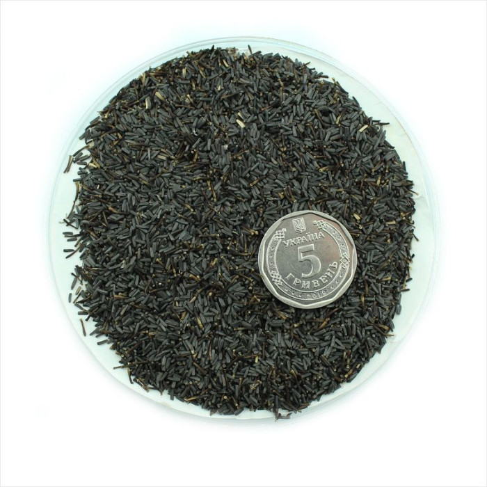 Rudbeckia seeds «Marmalade»