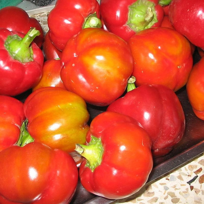 Sweet pepper seeds «Ratunda red»