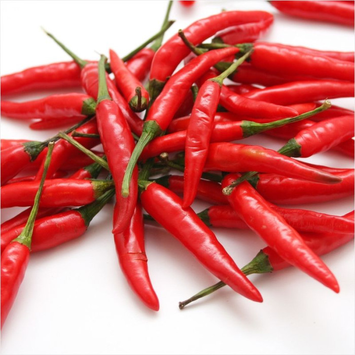 Hot pepper seeds «Chile»