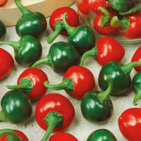 Hot pepper seeds «Cherry»