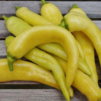 Sweet pepper seeds «Sweet Banana»