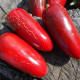 Hot pepper seeds «Jalapeno Tajin»