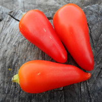 Семена перца острого «Санта Фе Гранде»