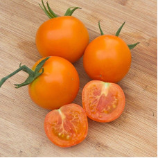 Насіння томату «Помаранець»