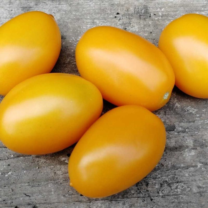 Насіння томату «Гурман жовтий»