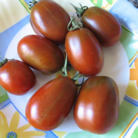 Tomato seeds «Black moor» 