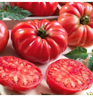Tomato seeds «American ribbed red» 