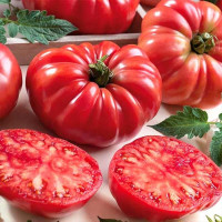 Tomato seeds «American ribbed red» 