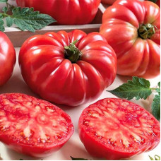 Tomato seeds «American ribbed red» 