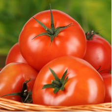 Насіння томату «Південна Пальміра»