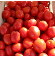 Tomato seeds «Asterix» 