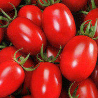 Tomato seeds «Novelty of Moldova» 