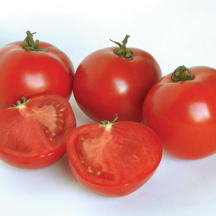 Насіння томату «Апологет»
