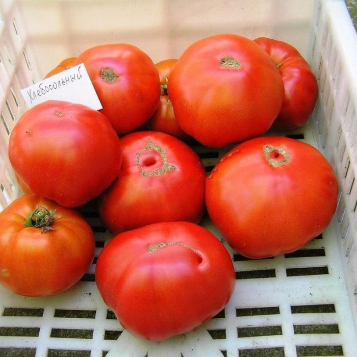 Tomato seeds «Hospitable» 