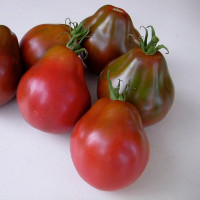 Tomato seeds «Truffle black» 