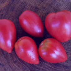 Tomato seeds «Pink flamingo» 