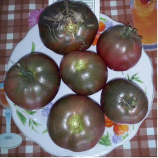 Насіння томату «Чорномор»