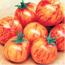 Tomato seeds «Amur tiger» 