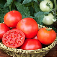 Насіння томату «Ігранда»