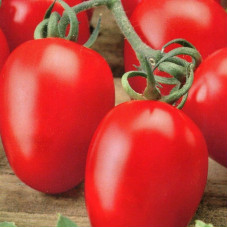 Насіння томату «Маруся»