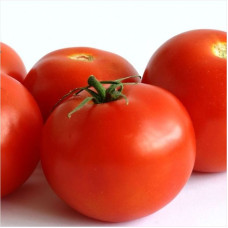 Tomato seeds «Lancer» 