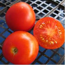 Tomato seeds «Stupike» (Moravian miracle) 