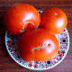 Насіння томату «Українка Олена»