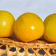 Tomato seeds «Vernissage yellow» 