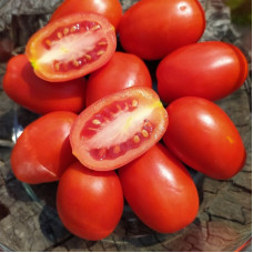 Tomato seeds «Plum Frodo» 