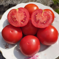 Tomato seeds «Snow fairy tale» 