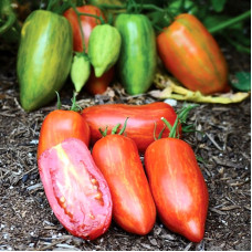 Насіння томату «Римський смугастий»